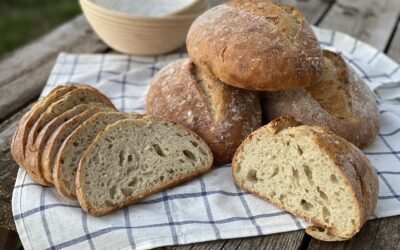 Demystifying Sourdough