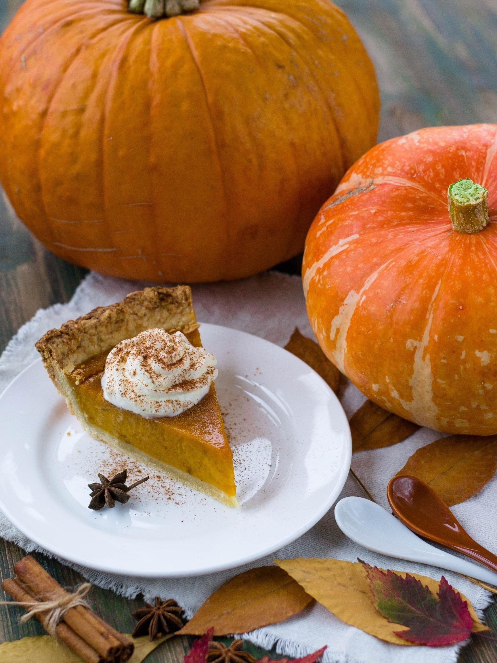 attachment-5f4d5705bd78527ebca96128