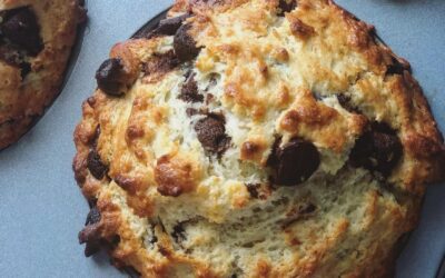 Chocolate Chip Muffin Recipe