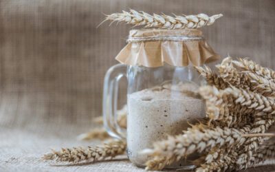 Beginner’s Guide to Sourdough