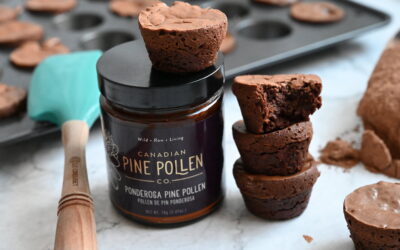 Two-Bite Pine Pollen Brownies